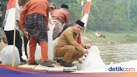 Kesempatan Ikan Berkembang Biak Jadi Bagian Kearifan Lokal Danau Sibuk