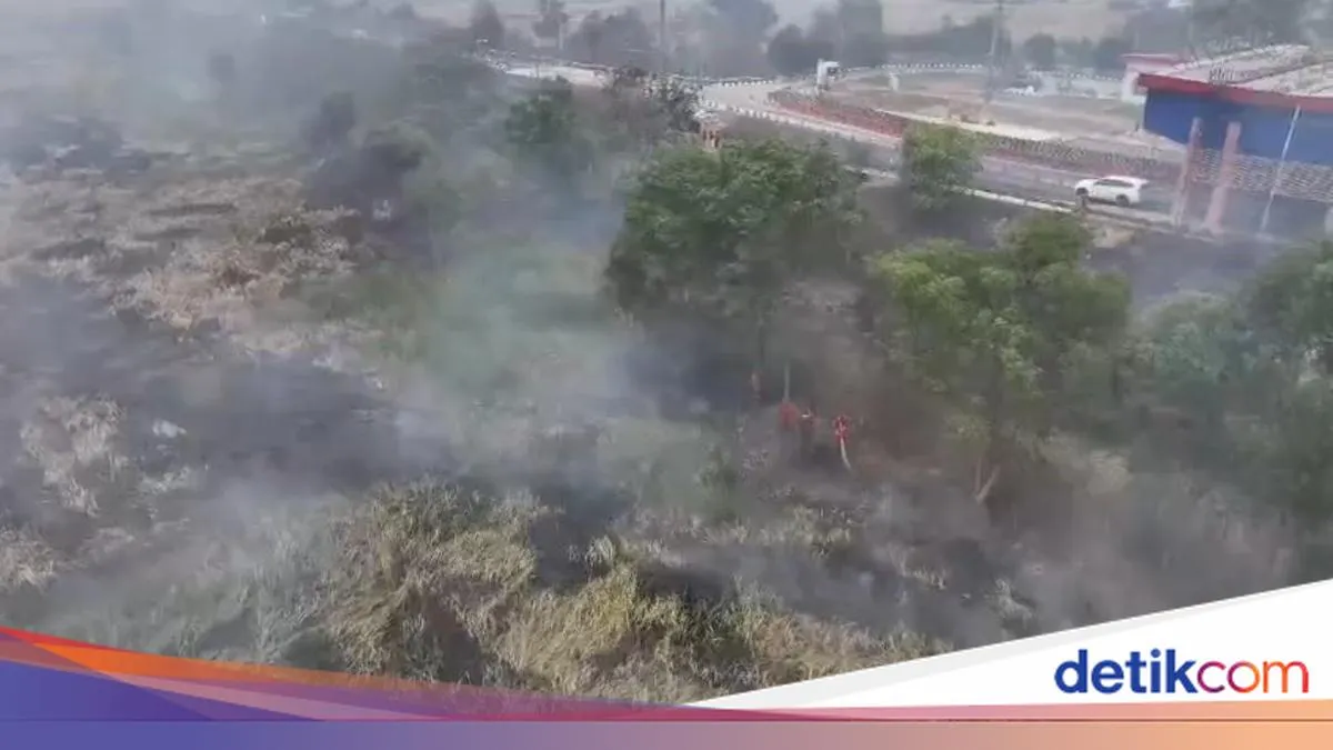 Catatan BPBD 20 Oktober Memisahkan Sebaran Gambut dan Mineral dalam Pantauan Hotspot