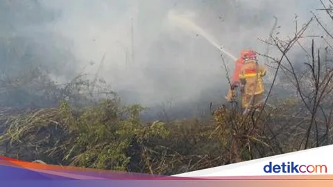 Penguatan Lintas Daops Menyertai Operasi Pemadaman Sumsel dalam Arsip 2026