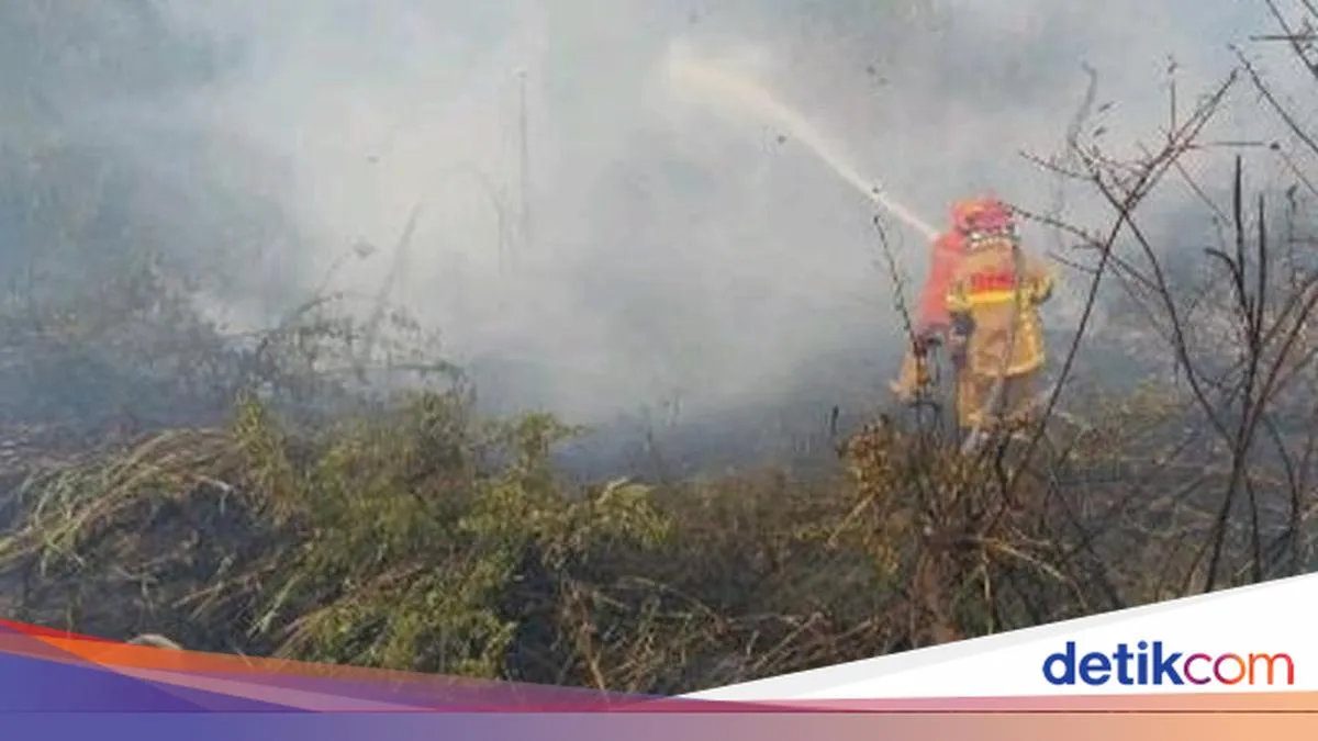 Penguatan Lintas Daops Menyertai Operasi Pemadaman Sumsel dalam Arsip 2026